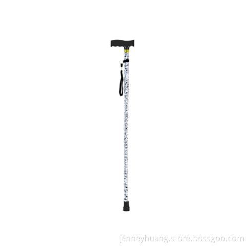 Extendable plastic handled patterned walking stick